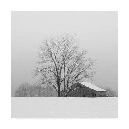 Nicholas Bell Photography 'Townsend Winter' Canvas Art,35x35
